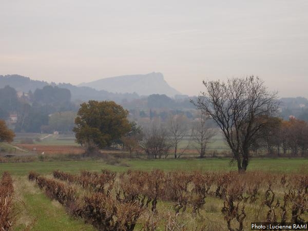 Sainte-Victoire vue depuis le lieu-dit Les Avocats