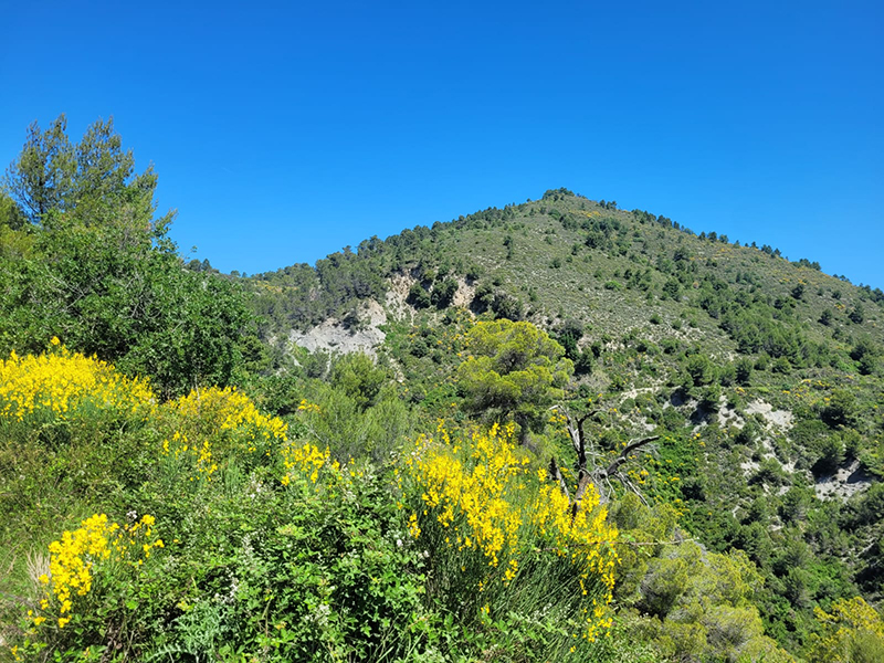 Mont Cima (Castagniers)