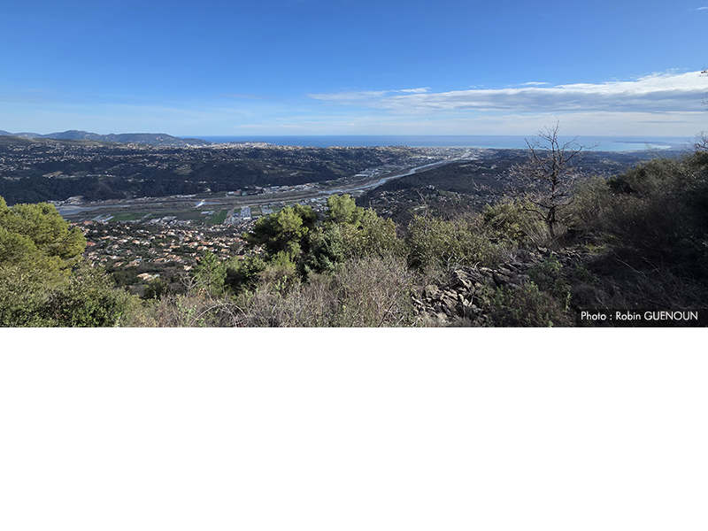 Vallée du Var