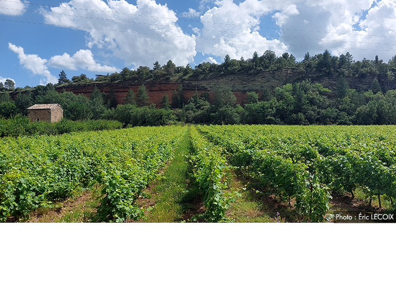 Colline de Piebournau