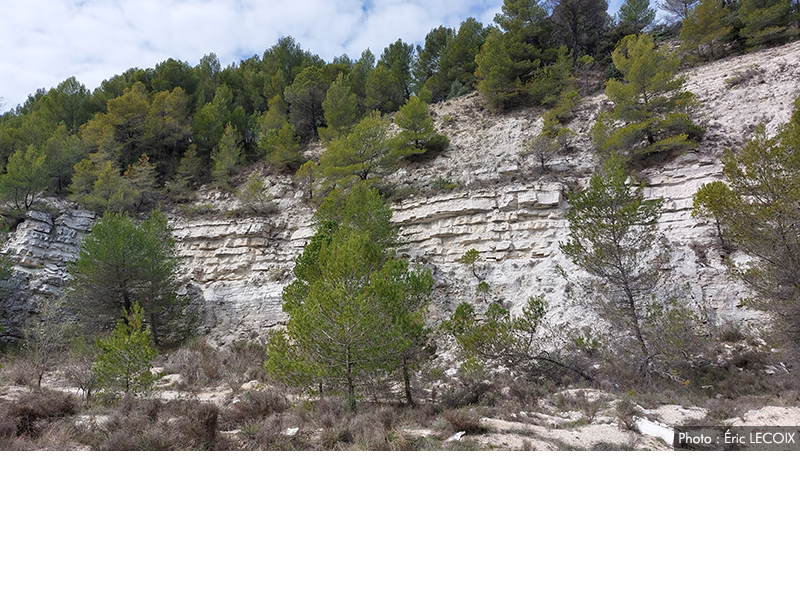 Anciennes carrières de gypse de Carboussan