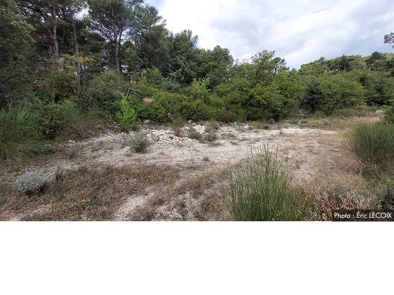 Blocs de calcaire lacustre de Saint-Jacques - Blauvac