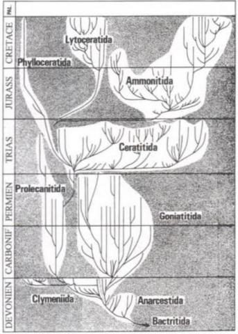 In F. LETHIERS — Fig 14 Evolution de la biosphère et événements géologiques
